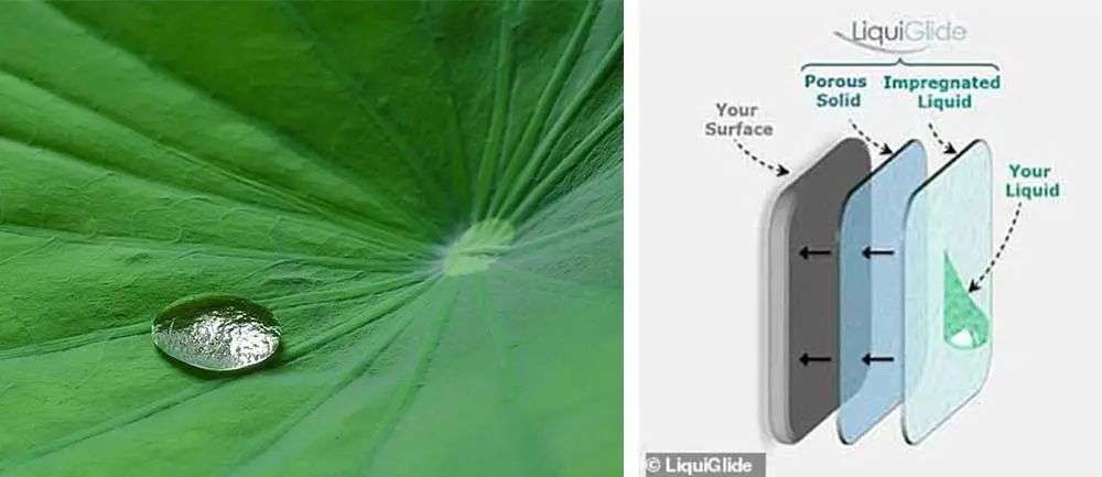 再也不用「擠牙膏」，高露潔換上的「潤滑劑」包裝，讓牙膏從此一滴不剩