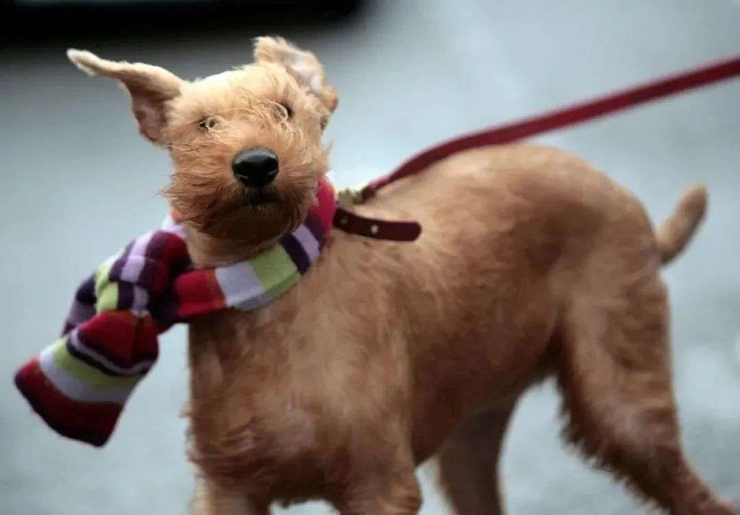 看一眼你的頭發(fā)，就知道洗發(fā)水買錯(cuò)了